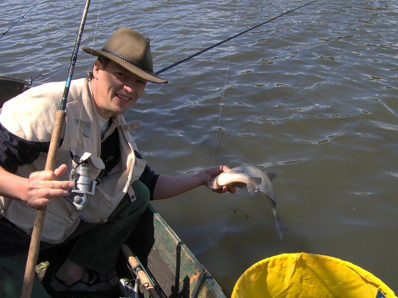 Pêche au quiver tip avis
