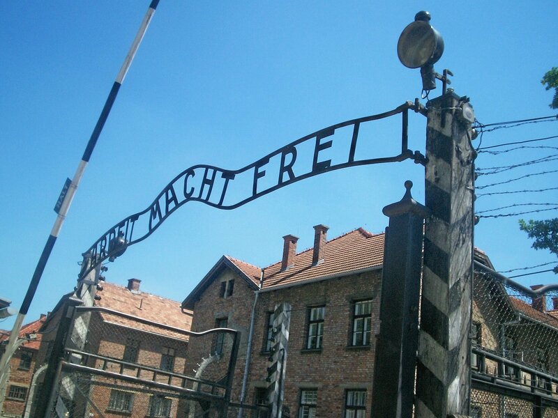 Auschwitz Birkenau La Mort à Plein Régime Les Voyages D - 