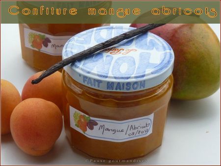 confiture mangue abricots (8)
