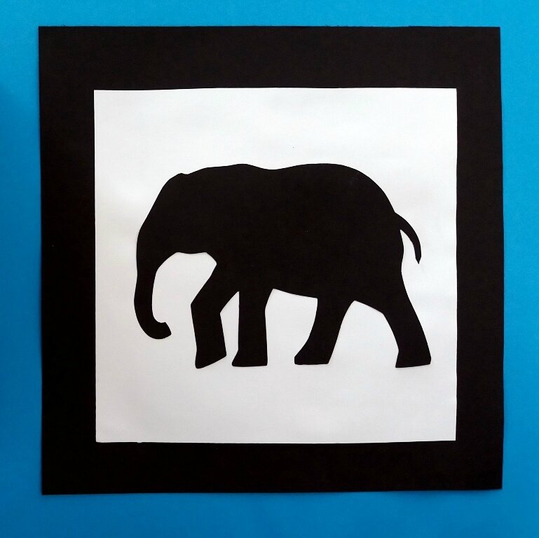 275_Afrique_Eléphants25