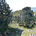 Le plateau de Barlagne.