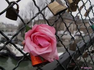 IMG_9546c
