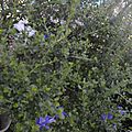 _DSC0017