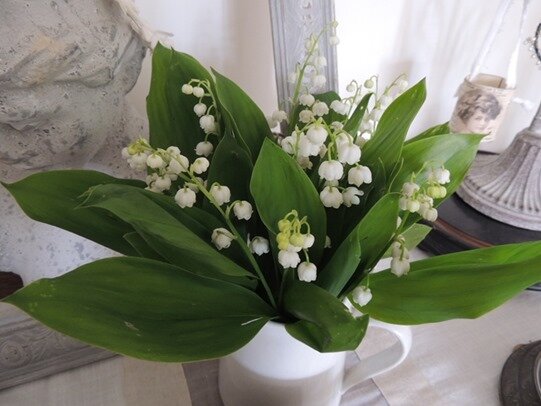 bouquet