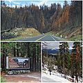 Yosemite - Incendie