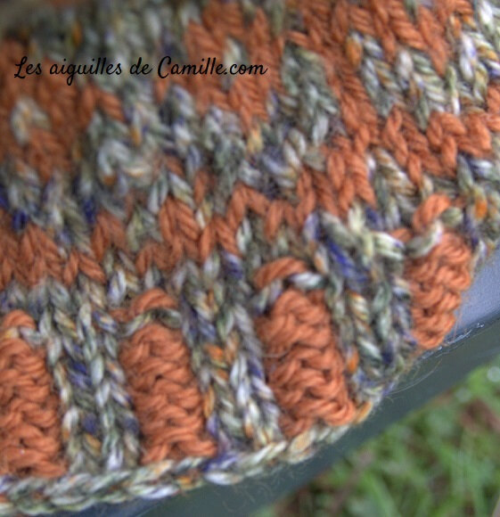 Shetland Colours WYS 13