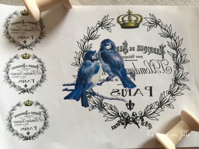 oiseaux