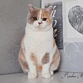 _DSC0990
