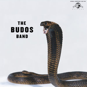 The_Budos_Band___The_Budos_Band_3