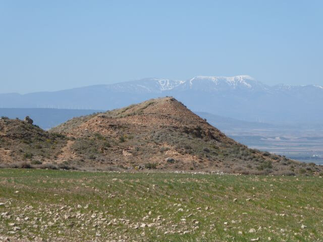 a24