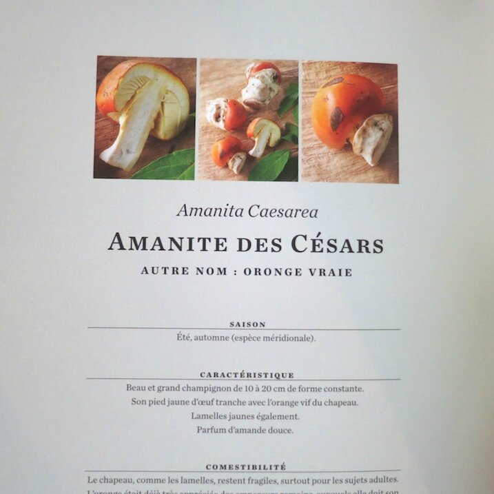 © Editions de La Martinière (3)