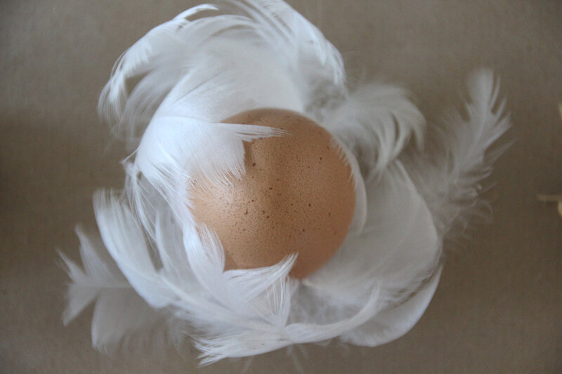 DIY_Easter_feather