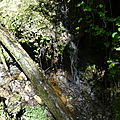 P1120726 (2)