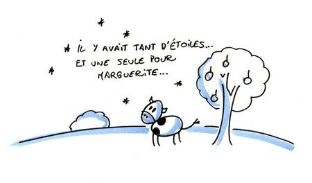 sonetoile