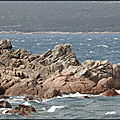 DSCN2261