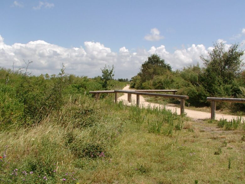 Sentier-du-Littoral-2-780x585