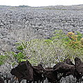 P1130868