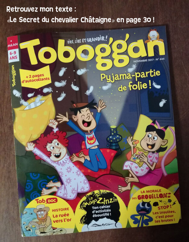 toboggan-nov17