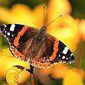 IMG_1859