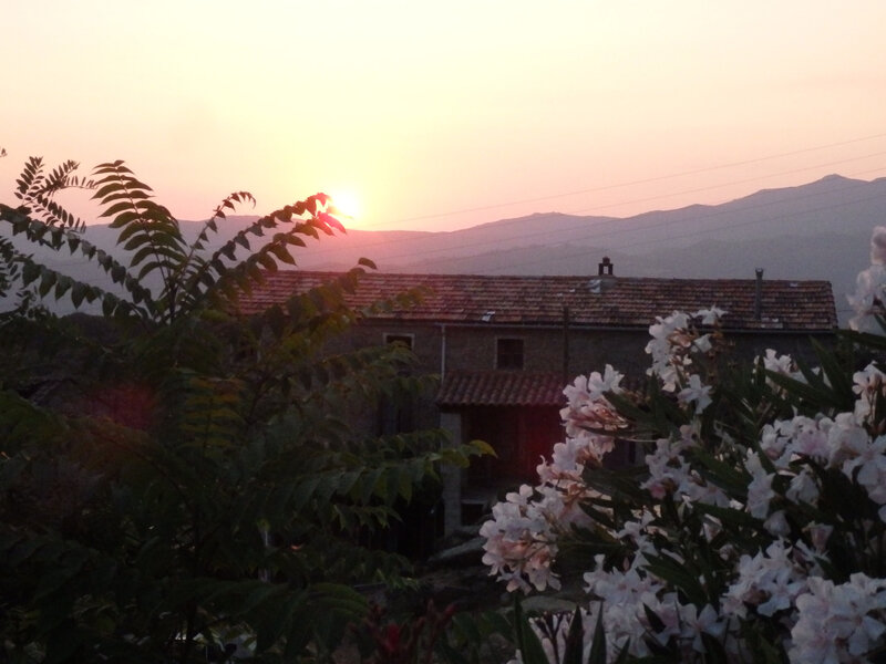 corse 2015 254