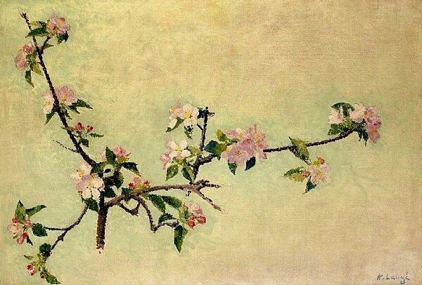 achille-lauge