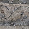IMG_7391
