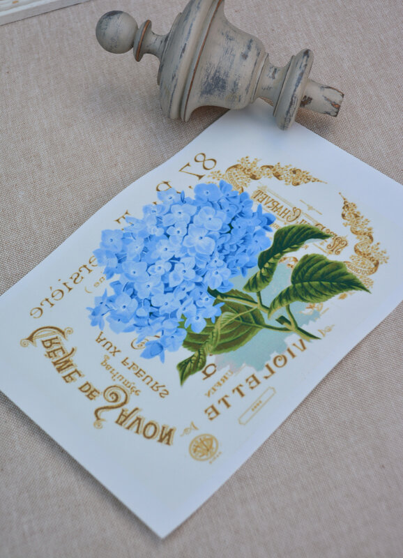 crème de savon hortensia bleu