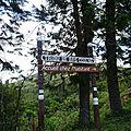 DSC03501
