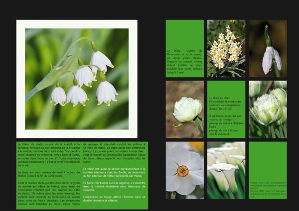 GardenColours1_Page_07