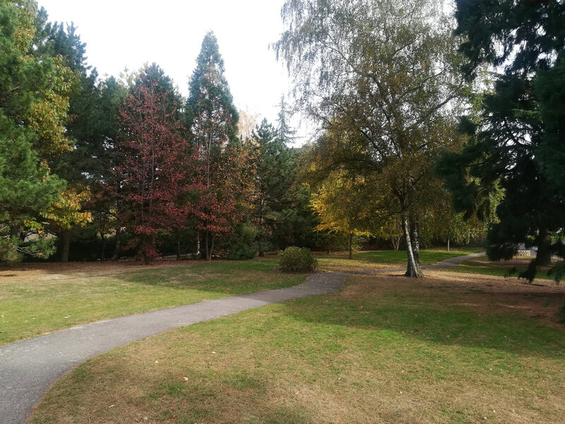 parc Labesse, 26 oct 2018 (19)