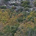 P1080029 (2)