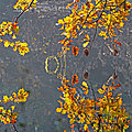 Automne (double)