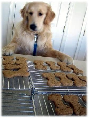 biscuit (2)