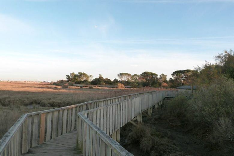 Sentier-du-littoral--21---800x600--780x521