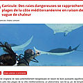 Alerte canicule, danger d'invasion sur les plages !...