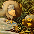 Le dodo, l'oiseau emblématique de l'île maurice...
