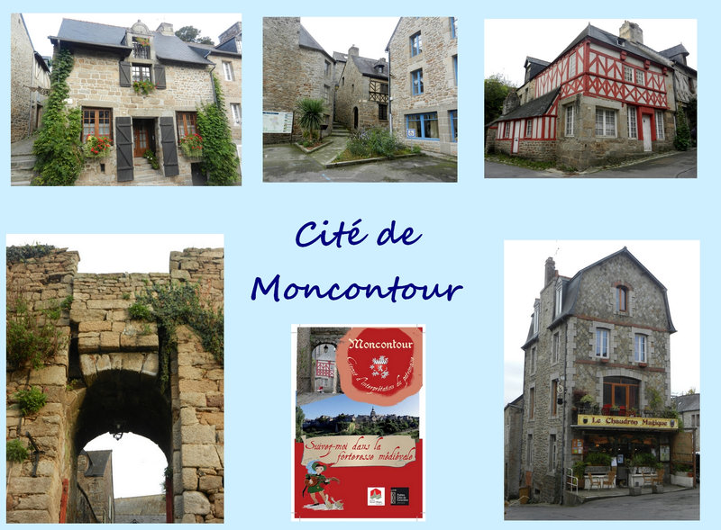 Moncontour 1
