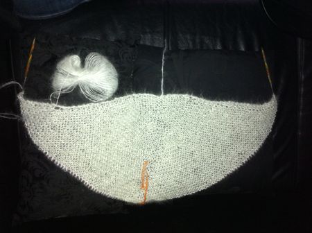 Photo_082