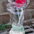 amaryllis 50 ans