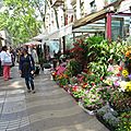 La rambla des fleurs à barcelone le 29 avril 2014