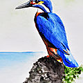Oiseau sur rocher