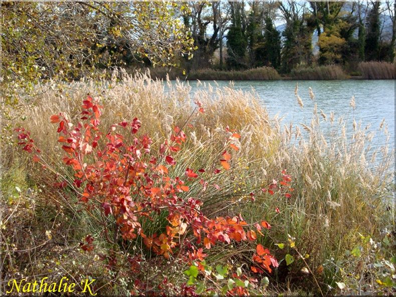 _c__LNK_le_12_novembre_2010_036_copie