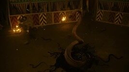 Colony Sarff serpent
