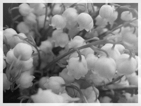 090507