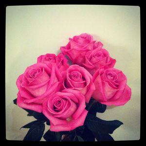 Roses_acidul_es