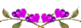 coeur-1