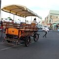 IMG_1918 (Copier)