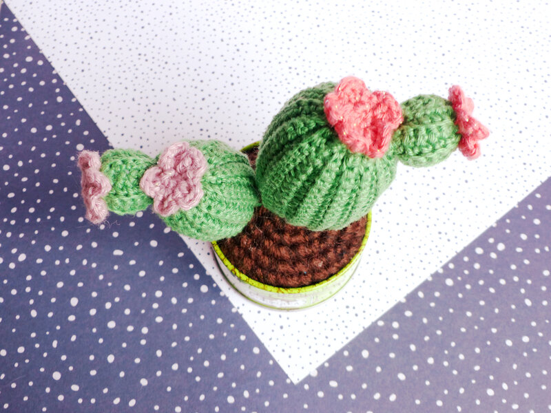 cactus-crochet-pot-kusmi-tea-plantes-emma-varnam-eyrolles-05