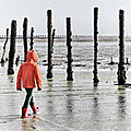 Carine adolfini / images latentes