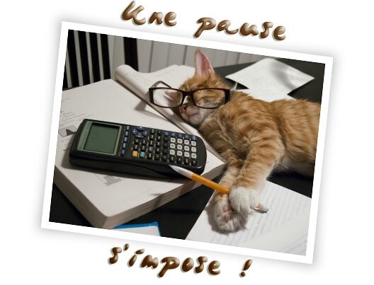 chat-pause-s-impose